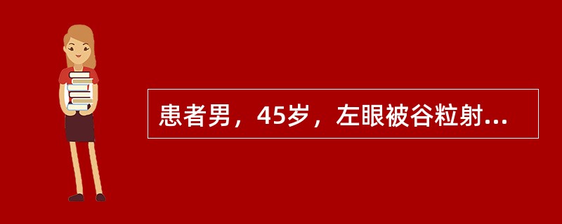 患者男，45岁，左眼被谷粒射伤后红、痛、视力下降一月余。眼部检查：左眼视力0.04，眼睑轻度红肿，睑痉挛(±)，混合充血(+++)，角膜中央偏下方见菊花团样灰白色病灶，大小约5mm×6mm，略高于角膜