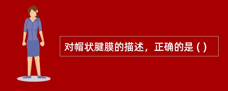 对帽状腱膜的描述，正确的是 ( )