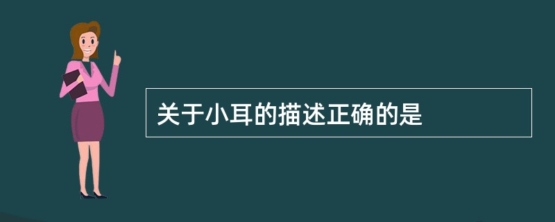 关于小耳的描述正确的是