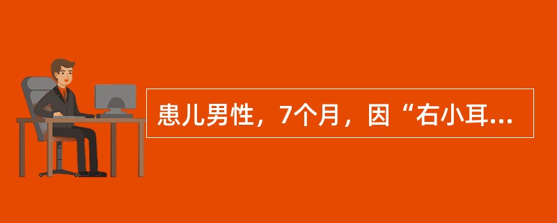 患儿男性，7个月，因“右小耳畸形，左耳完全正常”来诊。如采用Brent法行全耳再造，叙述错误的是