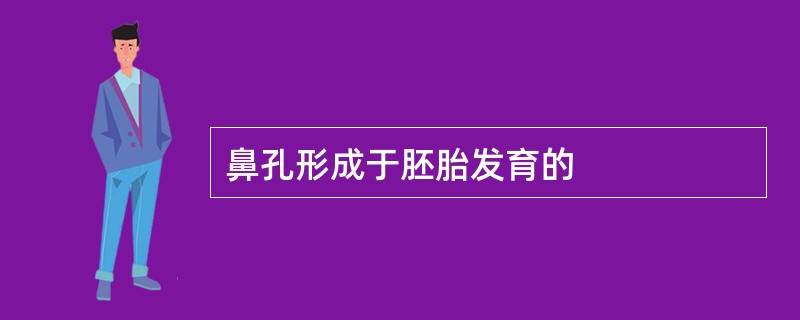 鼻孔形成于胚胎发育的