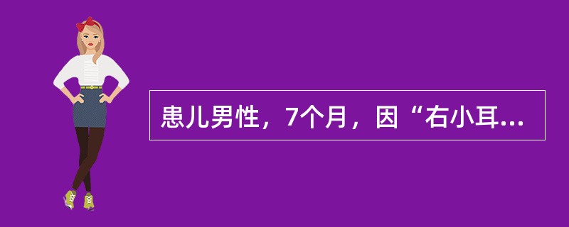 患儿男性，7个月，因“右小耳畸形，左耳完全正常”来诊。最适宜的处理方法是