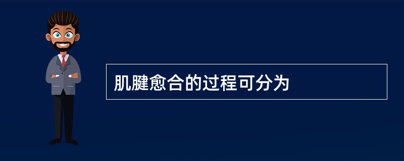 肌腱愈合的过程可分为