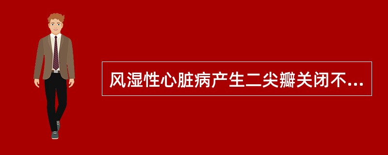 风湿性心脏病产生二尖瓣关闭不全的病理生理改变应除外