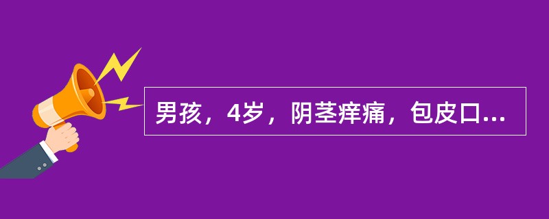 男孩，4岁，阴茎痒痛，包皮口排出乳白色豆腐渣样物。检查发现包皮水肿，阴茎头红，包皮与阴茎头粘连，包皮内可及1个黄豆大的小结节。诊断为