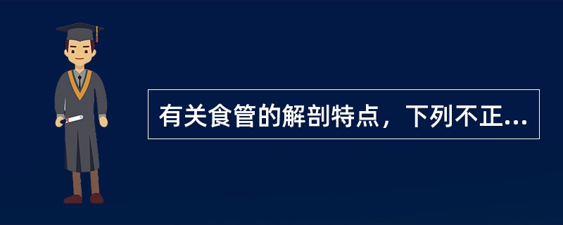 有关食管的解剖特点，下列不正确的是