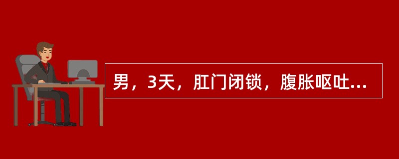 男，3天，肛门闭锁，腹胀呕吐，尿液澄清，应做的必需检查