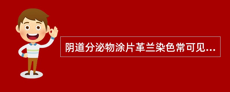 阴道分泌物涂片革兰染色常可见到的细菌有