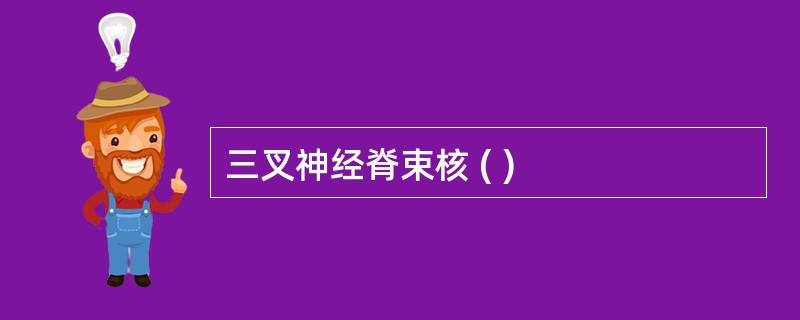 三叉神经脊束核 ( )