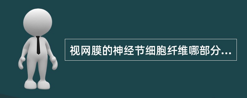 视网膜的神经节细胞纤维哪部分经视交叉进入对侧视束