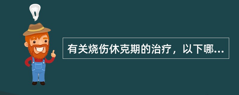 有关烧伤休克期的治疗，以下哪些是正确的