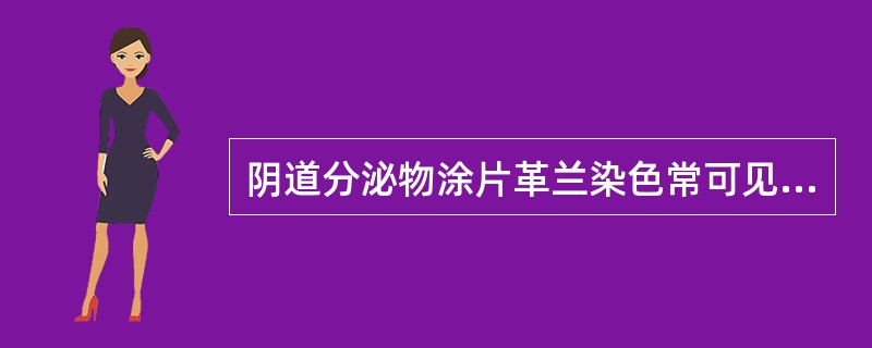 阴道分泌物涂片革兰染色常可见到的细菌有