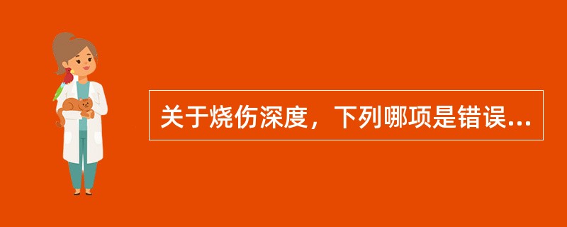 关于烧伤深度，下列哪项是错误的()