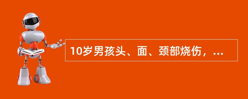 10岁男孩头、面、颈部烧伤，其烧伤面积为(　　)。