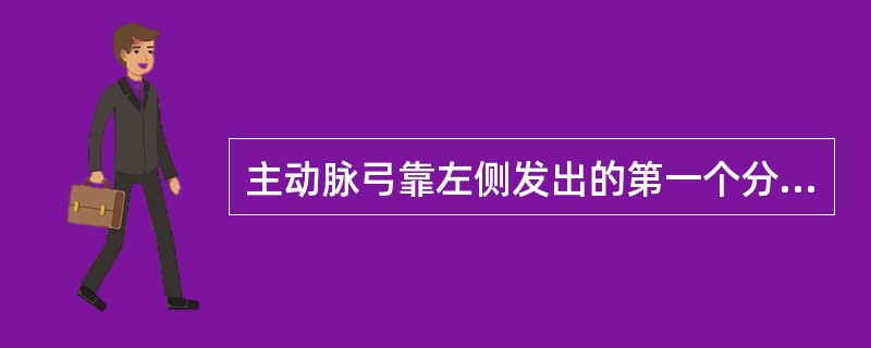 主动脉弓靠左侧发出的第一个分支是