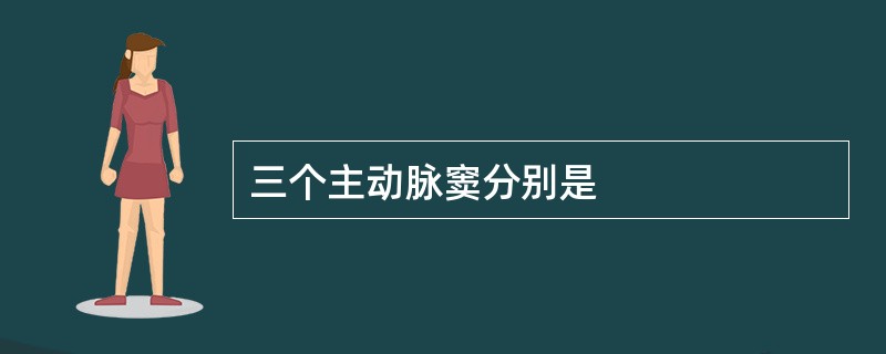 三个主动脉窦分别是