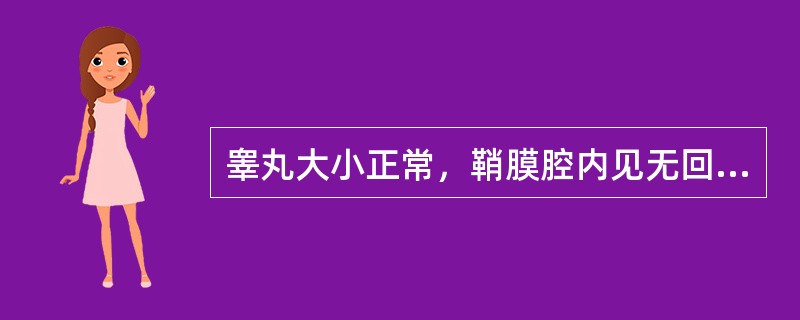 睾丸大小正常，鞘膜腔内见无回声暗区包绕睾丸，应诊断为