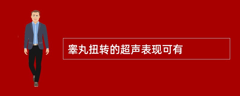 睾丸扭转的超声表现可有