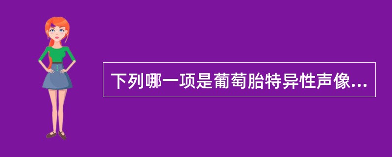 下列哪一项是葡萄胎特异性声像图表现