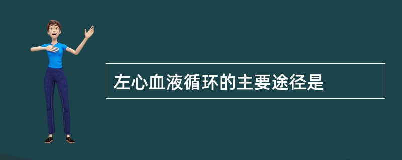 左心血液循环的主要途径是