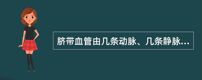 脐带血管由几条动脉、几条静脉组成：