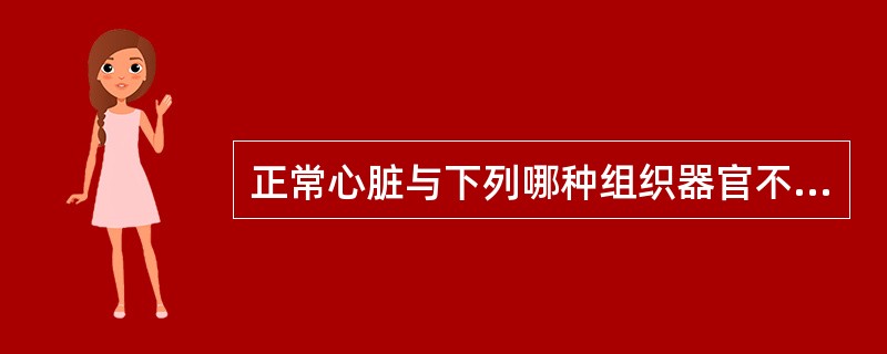 正常心脏与下列哪种组织器官不毗邻()