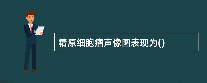 精原细胞瘤声像图表现为()