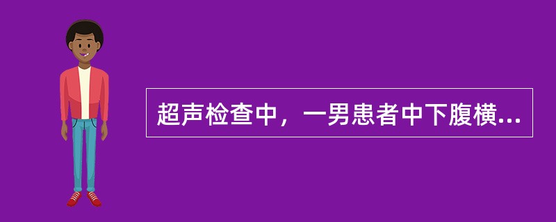 超声检查中，一男患者中下腹横切面如图，箭头所示器官为()<img border="0" style="width: 461px; height: 346px;&qu