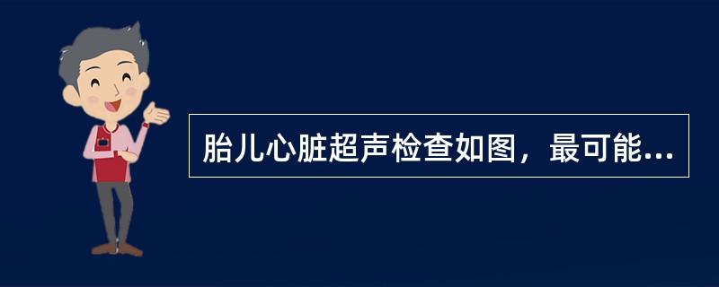 胎儿心脏超声检查如图，最可能的诊断是()<img border="0" style="width: 324px; height: 243px;" src=