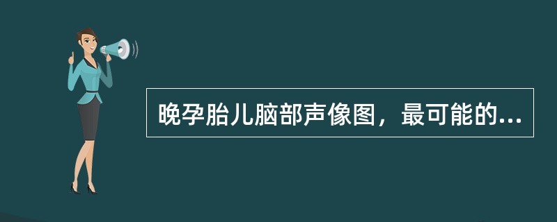 晚孕胎儿脑部声像图，最可能的诊断是()<img border="0" style="width: 302px; height: 226px;" src=&