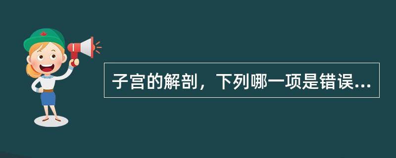 子宫的解剖，下列哪一项是错误的()