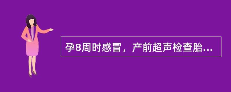 孕8周时感冒，产前超声检查胎儿心脏见图，最可能的诊断是()<img border="0" style="width: 337px; height: 253px;&q