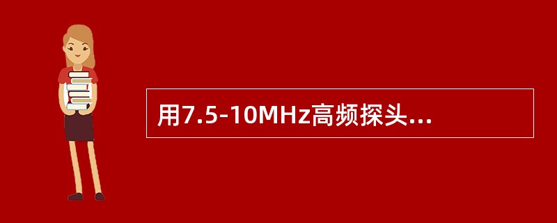 用7.5-10MHz高频探头，探测正常附睾，超声显示()