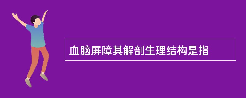 血脑屏障其解剖生理结构是指