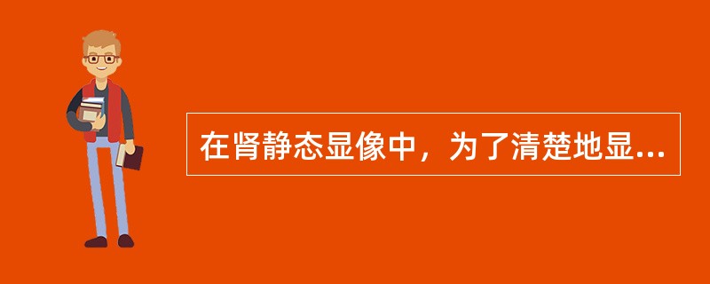 在肾静态显像中，为了清楚地显示马蹄肾，应采用的静态显像方式是()