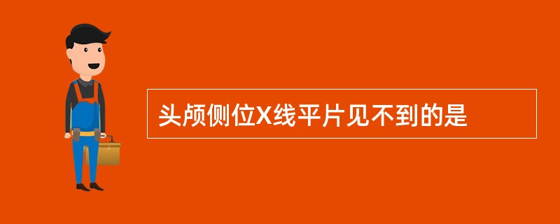 头颅侧位X线平片见不到的是