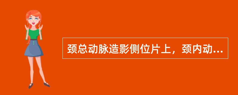 颈总动脉造影侧位片上，颈内动脉起始段常位于颈外动脉的()