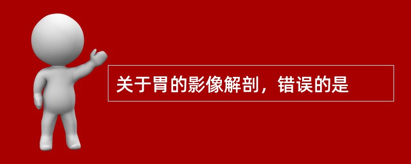 关于胃的影像解剖，错误的是