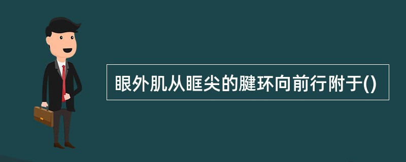 眼外肌从眶尖的腱环向前行附于()