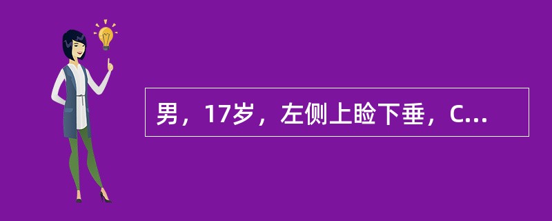 男，17岁，左侧上睑下垂，CT检查如图所示，正确的描述或诊断是()<img border="0" style="width: 410px; height: 308p