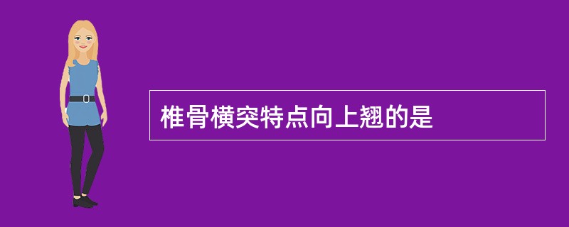 椎骨横突特点向上翘的是