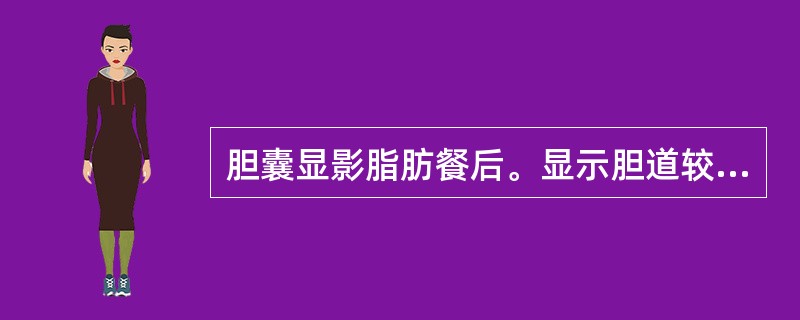 胆囊显影脂肪餐后。显示胆道较好的摄片时间为