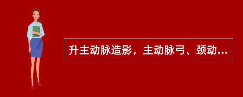 升主动脉造影，主动脉弓、颈动脉及椎动脉分离显示最佳的体位是