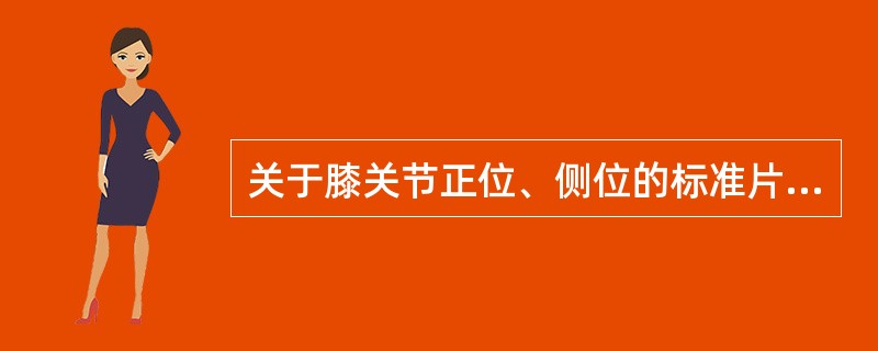 关于膝关节正位、侧位的标准片所见，哪项是错误的()