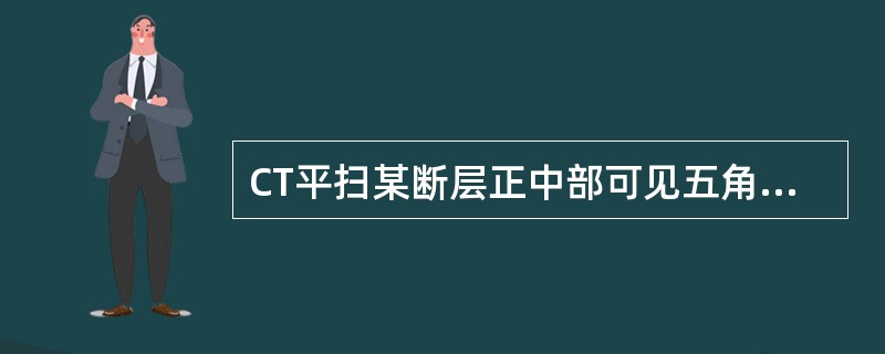 CT平扫某断层正中部可见五角星的鞍上池，是由大脑纵裂池、外侧窝池、交叉池和桥池组成。该断层可能经过的层面是