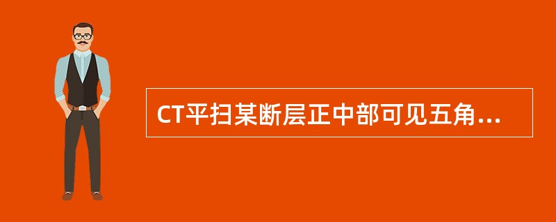 CT平扫某断层正中部可见五角星的鞍上池，是由大脑纵裂池、外侧窝池、交叉池和桥池组成。视交叉两侧为