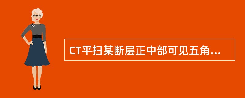 CT平扫某断层正中部可见五角星的鞍上池，是由大脑纵裂池、外侧窝池、交叉池和桥池组成。鞍上池内没有的