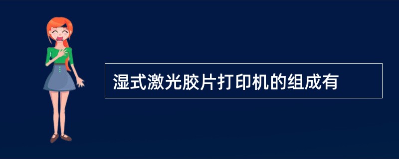 湿式激光胶片打印机的组成有