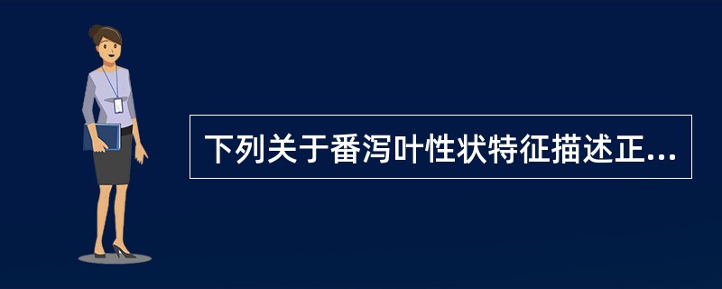 下列关于番泻叶性状特征描述正确的是