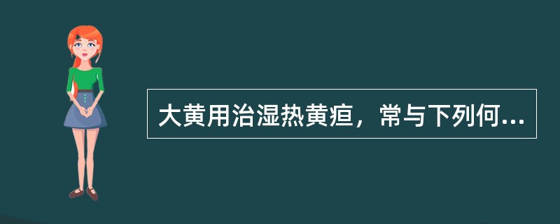 大黄用治湿热黄疸，常与下列何药配伍()